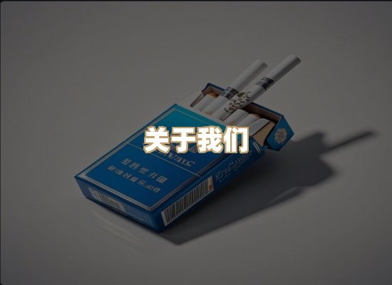 关于蓝帝网